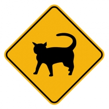 Cat Crossing