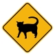 Cat Crossing