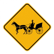 Horse Carriage