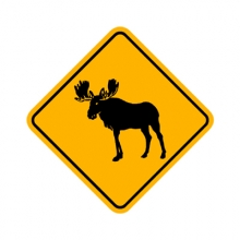 W11-21 Moose Symbol