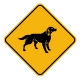 Dog Crossing